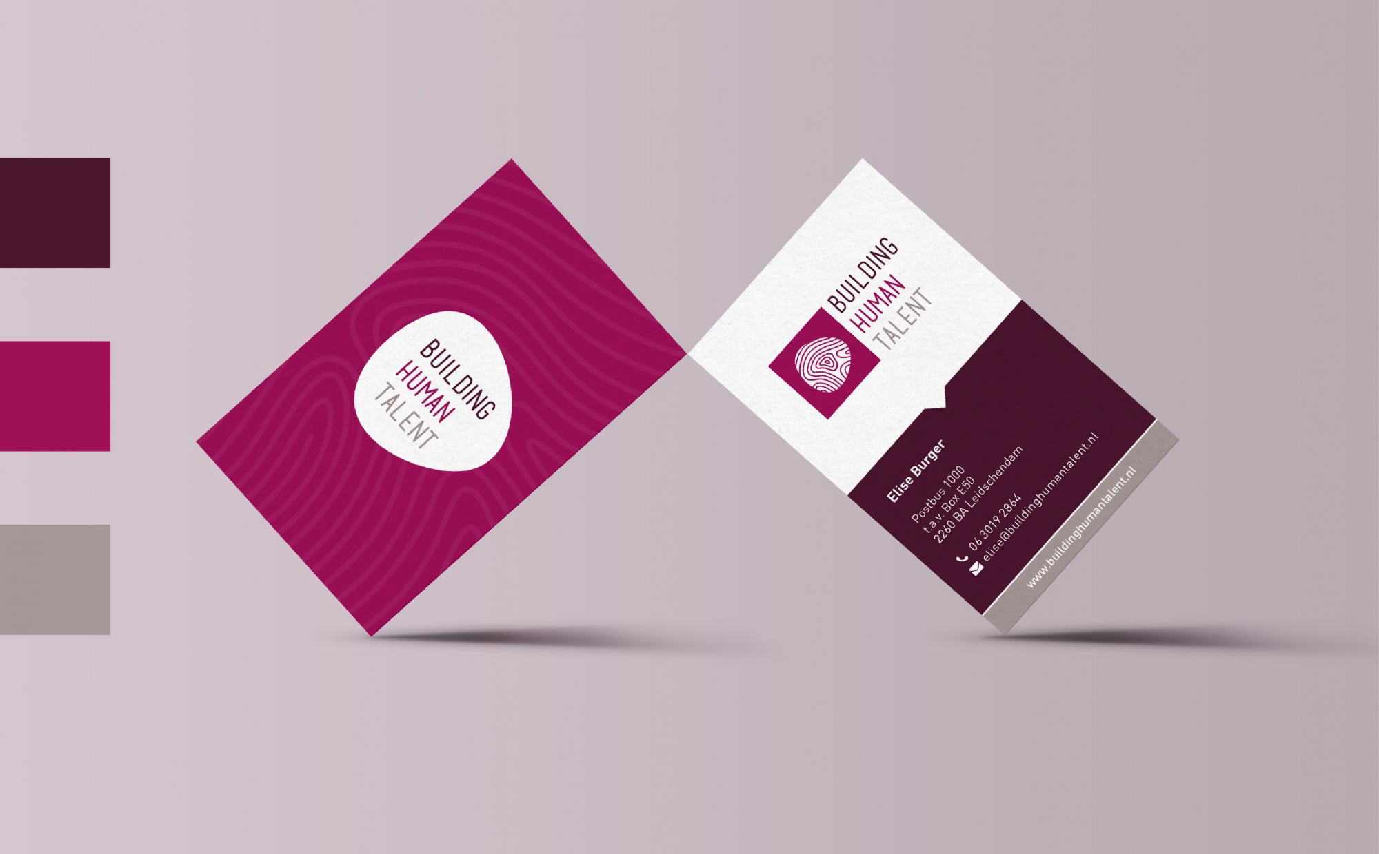 Building Human Talent